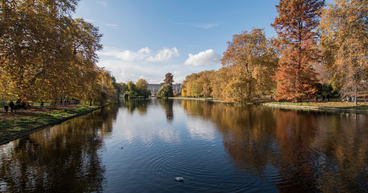 River in rural landscape during Autumn