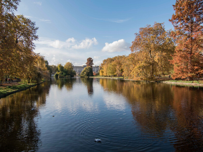 River in rural landscape during Autumn